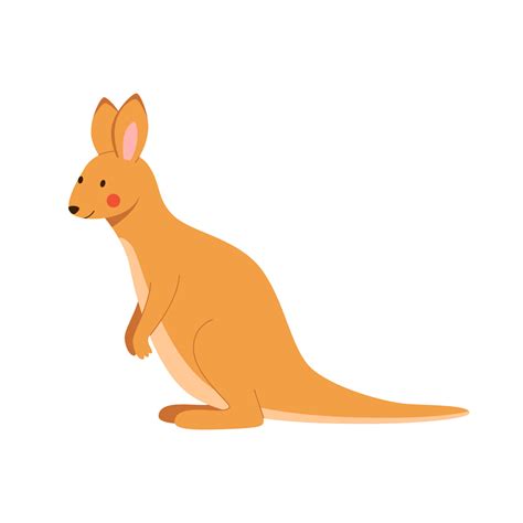 Cute young kangaroo isolated in white background. Cartoon vector ...