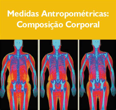 Medidas Antropométricas Composição Corporal