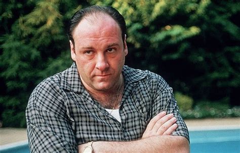 James Gandolfini Ouvia Green Day Em Vinil Nas Grava Es De Sopranos