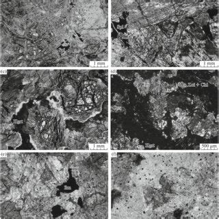 Least metamorphosed varieties of plutonic rocks from blocks of ...