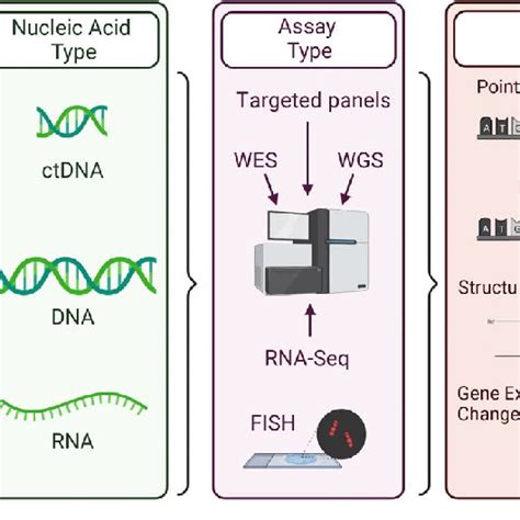 Molecular Profiling For Personalised Medicine An Idealized