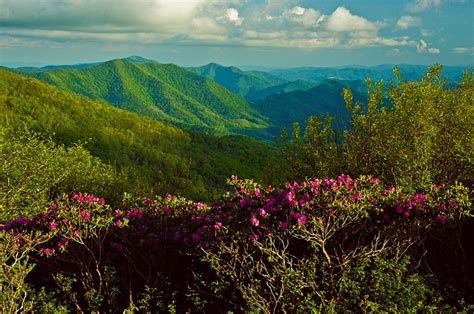 Jane Bald Roan Mountain S Highland Tnnc Appalachian Trail