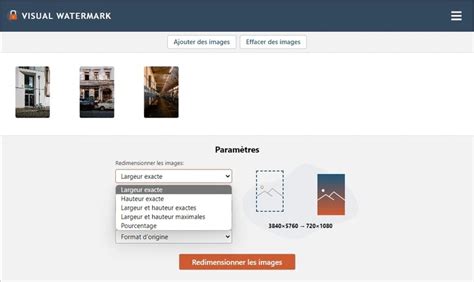 Redimensionner Une Image En Ligne Visual Watermark