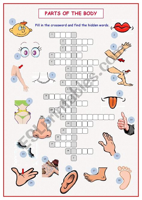 Body Parts Printable Puzzle Pictures Methodsofbusinesssuccess