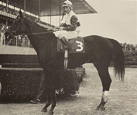 Ruffian | Ruffian, Horses, Racehorse