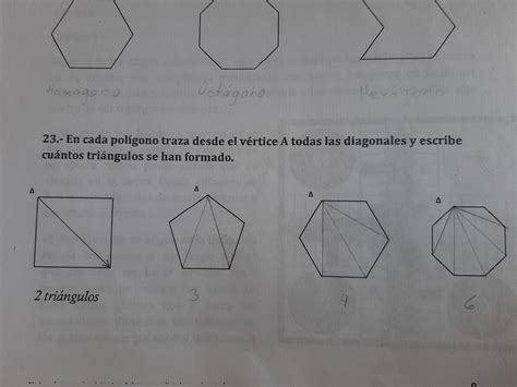 En Cada Poligono Traza Desde El Vertice A Todas Las Diagonales Y