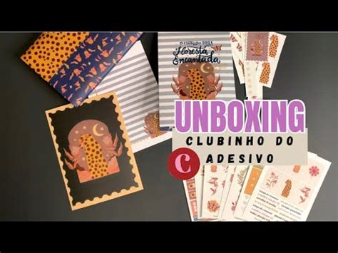 Unboxing O Clubinho Do Adesivo Edi O Ano Artjournal Adesivos