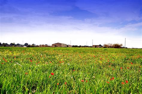 Fotos Landschaft Felder Wiesen