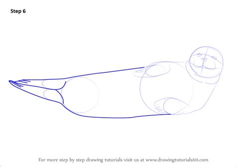 Learn How To Draw A Harbor Seal Seals Step By Step Drawing Tutorials