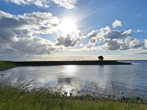 Kats Door Geeske Harkema Kats Zon En Wolken Vanmorgen Vro Flickr