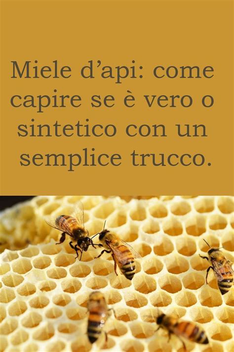 Miele dapi come capire se è vero o sintetico con un semplice trucco