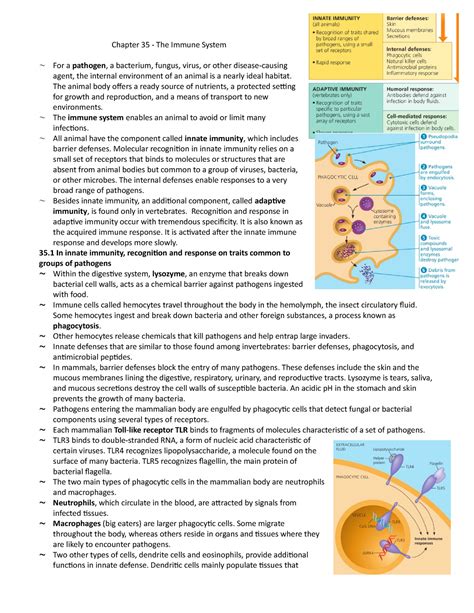 Chapter The Immune System Chapter The Immune System For A