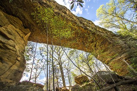 Natural Bridge State Resort Park Attractions Lonely Planet