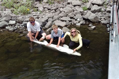 Snake River Jet Boat Fishing Hells Canyon Wilderness Sturgeon And Small