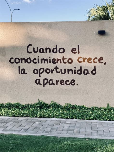 Cuando El Conocimiento Crece La Oportunidad Aparece Frases Pw