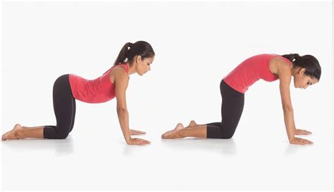 Yoga Para Relajar Cuello Y Hombros Excelentes Posturas