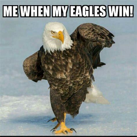 Top 94 Pictures Funny Pictures Of Philadelphia Eagles Updated