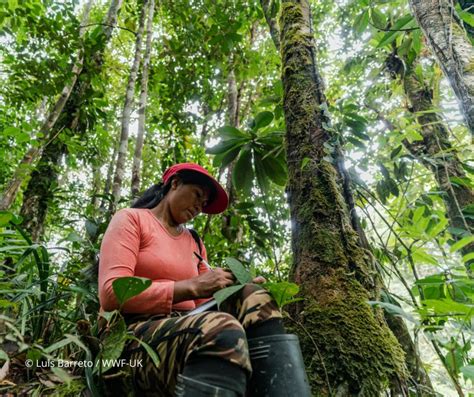 Wwf Colombia On Twitter Este Mi Rcoles De Mayo A Las A M