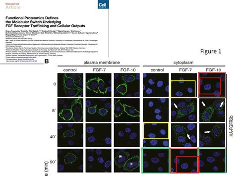 Cell Press – For Better Science