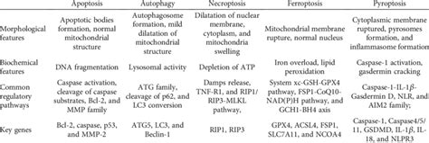 The features of different kinds of cell death pathways. | Download Scientific Diagram