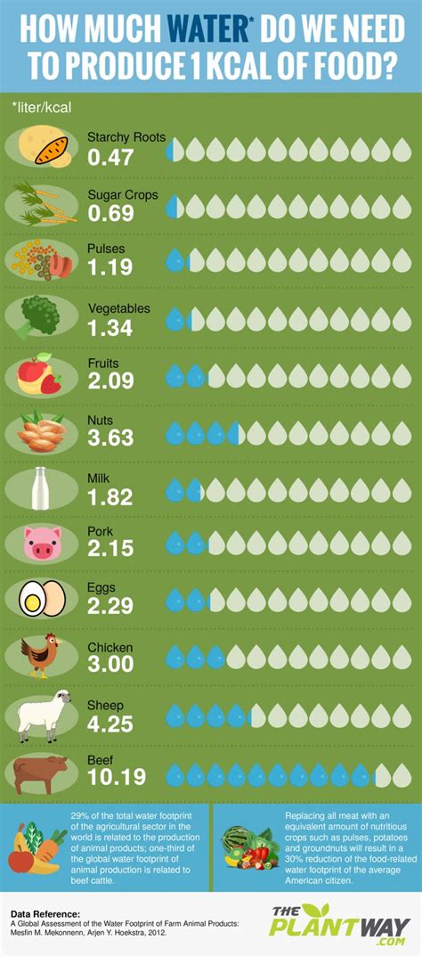 Plants Vs Meat How Much Water Is Required To Produce 1 Calorie