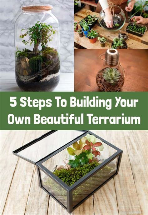 Diy Terrariums Everything You Need To Know To Build Your Own Artofit