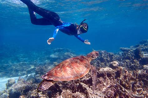 Quality Group Focus On NINGALOO REEF