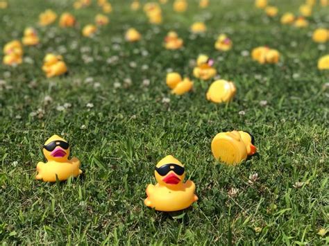 2019 Duck Race Derby Duck Fundraiser