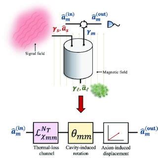 Cavity model. (Top) Illustration of the various couplings to the ...