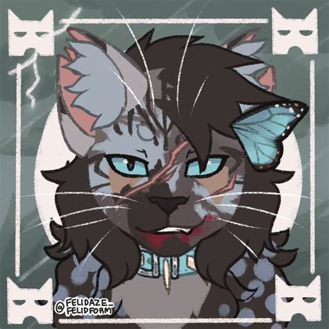 Felidaze S Warrior Cat Creator