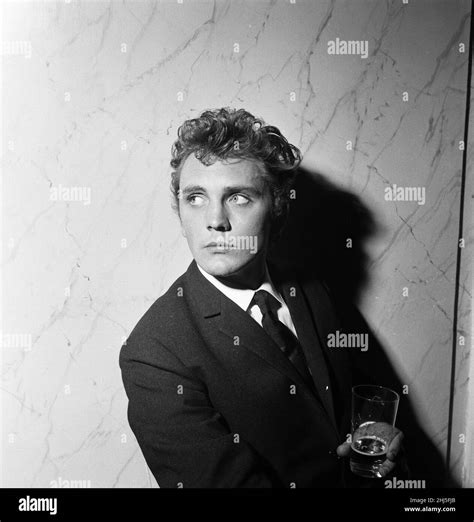 Actor Terence Stamp 23rd May 1961 Stock Photo Alamy