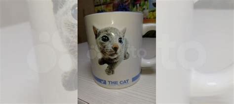 Кружка The cat collection купить в Горячеводском | Товары для дома и ...