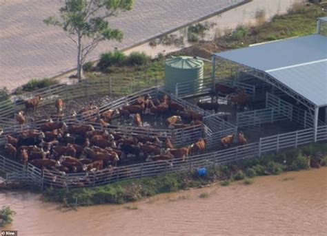 Lismore Flooding 340000 In North Nsw On Evacuation Alert As Hundreds