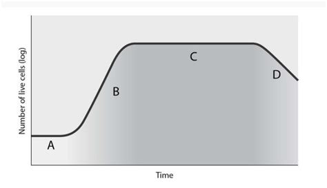 Microbiology Mastering Microbiology Homework Chapter 6 Diagram Quizlet