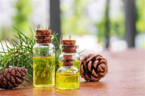 Premium Photo Cedar And Spruce Essential Oil In Small Glass Bottles