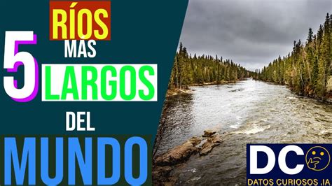 DESCUBRE LOS 5 RÍOS MAS LARGOS DEL MUNDO YouTube