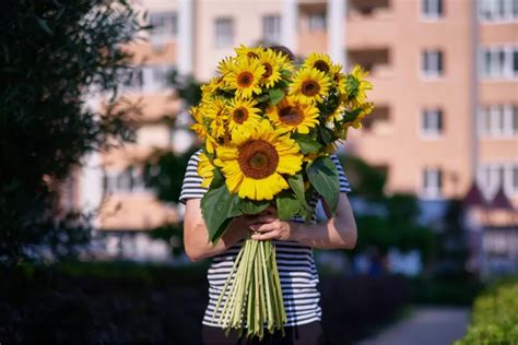 Por qué es tendencia regalar flores amarillas el 21 de septiembre