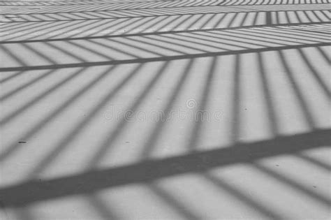 Midday shadows. stock photo. Image of shadows, angle, ruins - 3026752