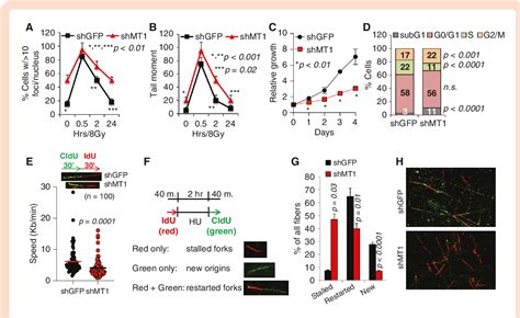 Figure From Targeting Extracellular Matrix Remodeling Sensitizes