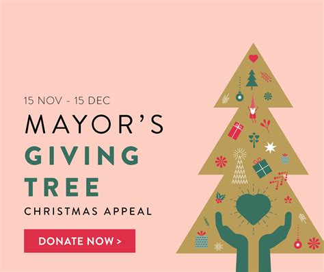 Wollondilly Mayors Giving Tree Christmas Appeal To Help Those Doing It