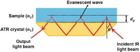 Schematic Ray Diagram Representing The Multiple Reflection Of Ir Beam