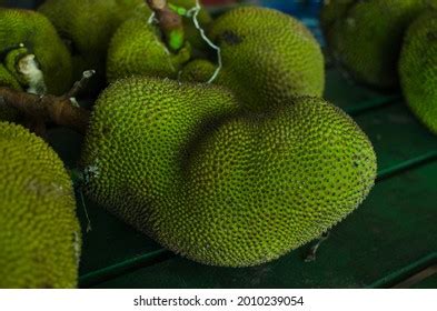 Amazing Form Mature Jackfruit Stock Photo Shutterstock