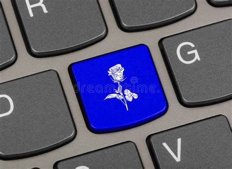 Computer Keyboard With Flower Key Stock Photo - Image of concept ...