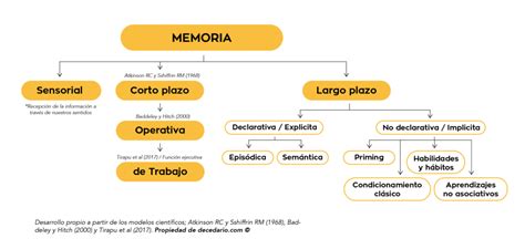 Ejercicios De Memoria Gratis Pdf Decedario