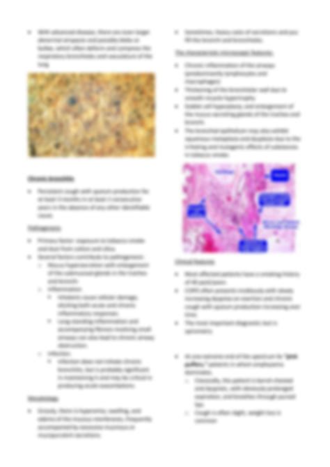 Solution Obstructive Lung Disease Pathology Studypool