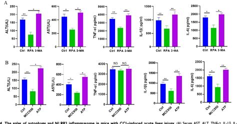 Figure From Ginsenoside Rg Alleviates Acute Liver Injury Through The