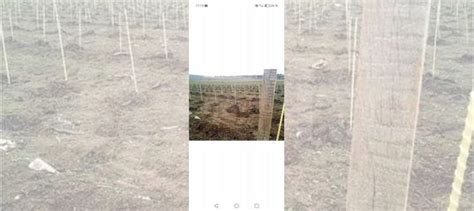 Садовые колышки из композитной арматуры купить в Нижнем Новгороде ...
