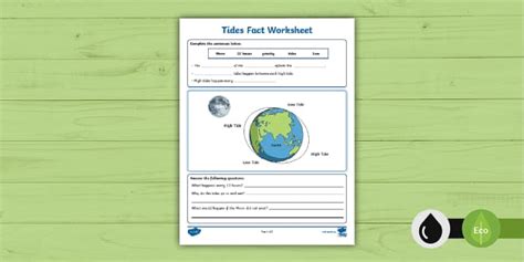 Tides Fact Worksheet Teacher Made Twinkl