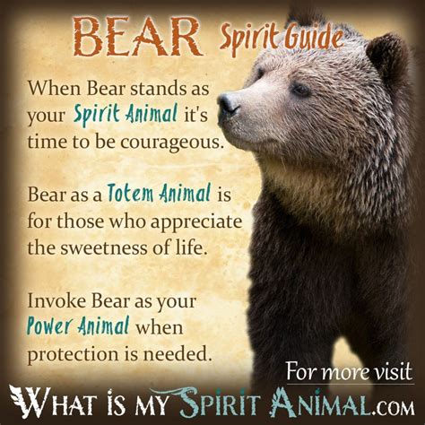 Bear Symbolism & Meaning | Spirit, Totem & Power Animal