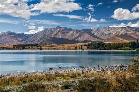 Lake Tekapo Mackenzie Country New Zealand February View Stock